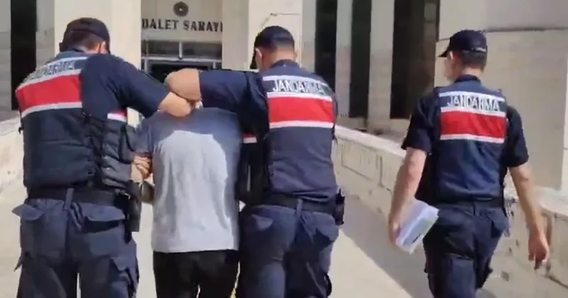 Edremit’teki orman yangını ile ilgili yeni gelişme! Tutuklandı