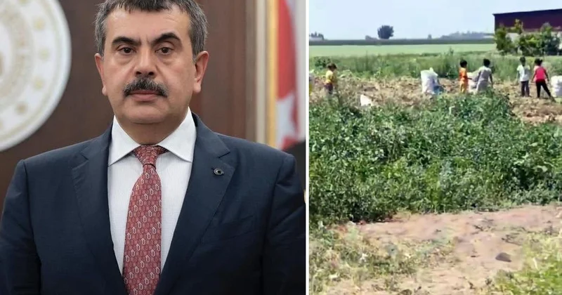 Hatay Kumlu da vahim iddialar! Bakan Tekin e çağrıda bulundular: Lütfen bu duruma el atın