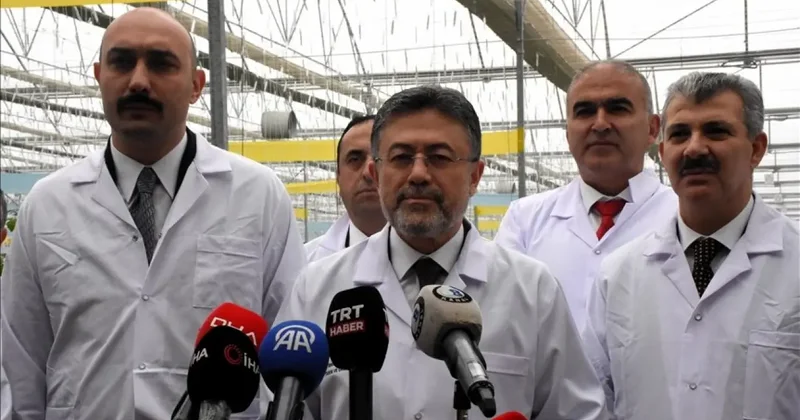 Şırnak Silopi Sera OTB tamamlandı: Ekonomiye 1,2 milyar liralık dev katkı