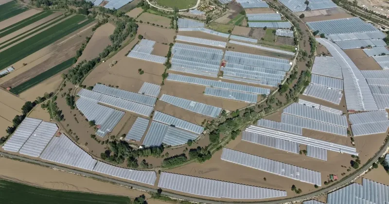 Amasya daki taşkın faciası sonrası çiftçinin yüzü güldü! 30 milyon TL ödeme yapıldı