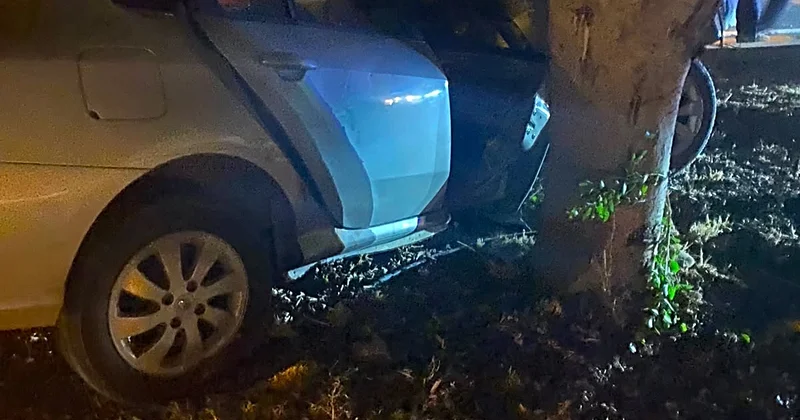 Ağaca çarpan otomobildeki sağlık çalışanı öldü, kardeşi ağır yaralandı