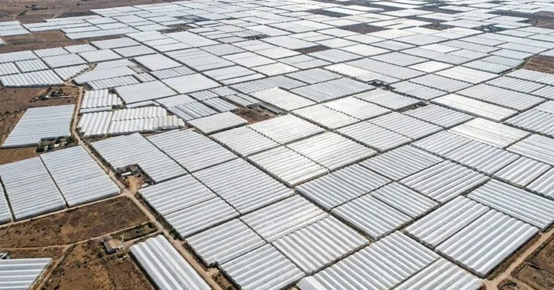 Çölleşen toprakları seralarla kaplayarak doğanın dengesini altüst ettiler Sözcü Gazetesi