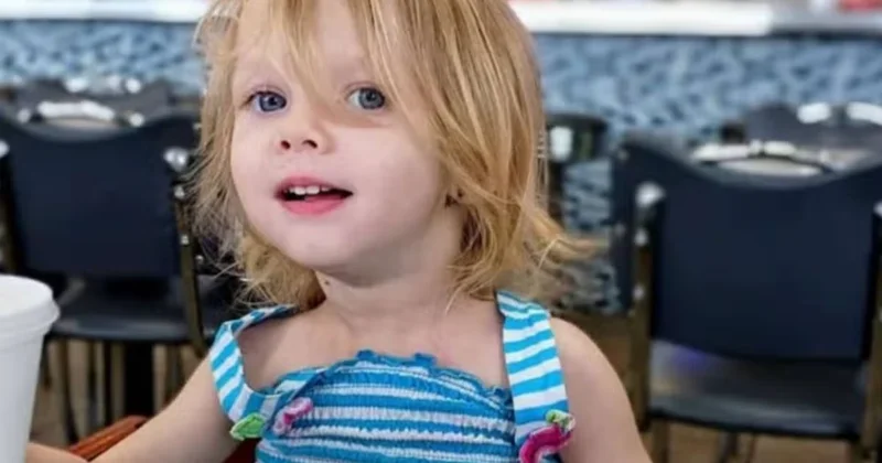 Cani anne ve baba 2 yaşındaki çocuklarını evcil hayvanlarına yedirdi Sözcü Gazetesi