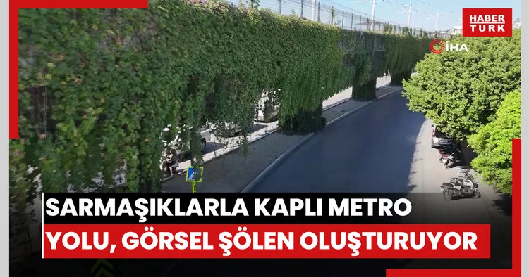 Sarmaşıklarla kaplı metro yolu, görsel şölen oluşturuyor