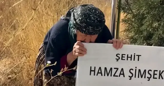 Şehit torununun mezarını ziyaret etmek isteyen teyze izleyenleri ağlattı: Mezarını koklayıp geleceğim VİDEO İZLE