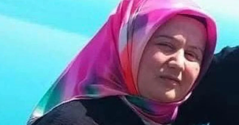 Ordu da kamyonun çarptığı kadın yaşamını yitirdi