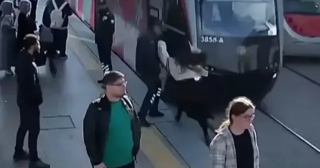 Kayseri de kulaklık nedeniyle tramvayın geldiğini fark etmeyen genç kızı son anda güvenlik görevlileri kurtardı VİDEO İZLE