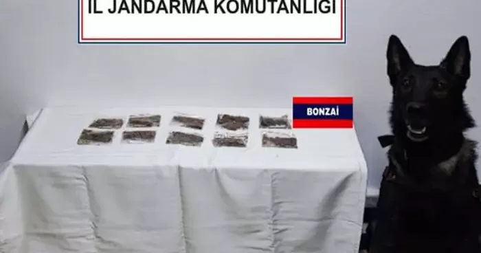 Yol kontrolünde uyuşturucu yakalandı: 7 gözaltı