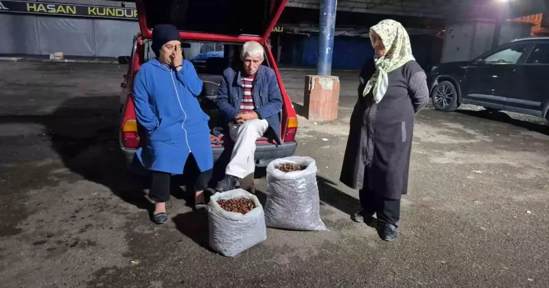 İki kişi 5 günde topladı, çuvalı 22 bin TL ye satıldı