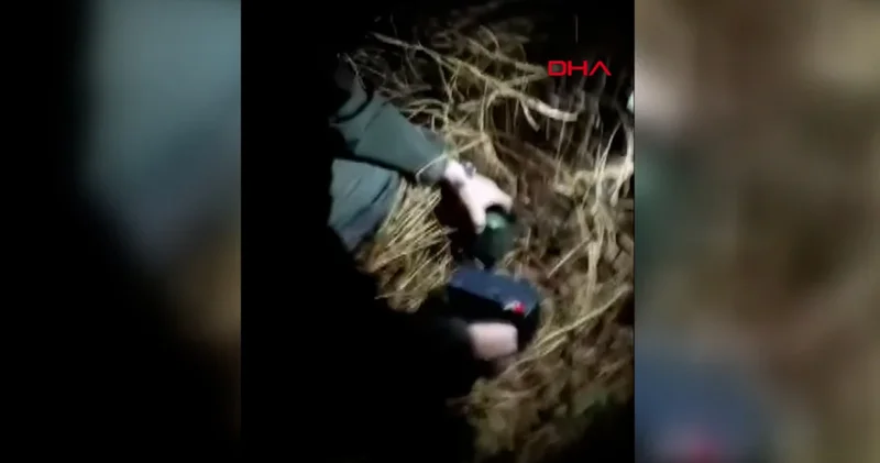 Bursa DKMP açıkladı! Yaban hayvanlarını avlamak için düzen kurulmuş