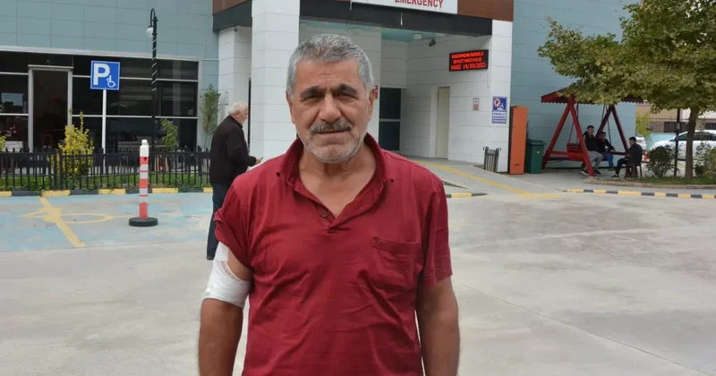Kastamonu da ayı saldırısı! Kaçarken yamaçtan düştü