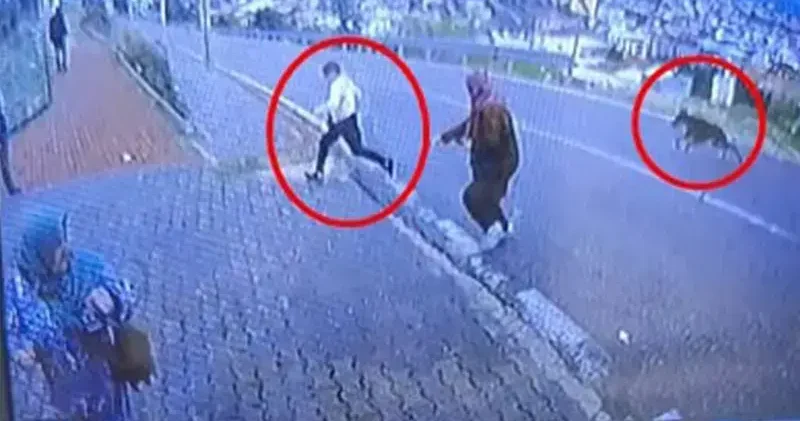 Köpekten kaçarken yüksekten atlayan çocuğun bacağı kırıldı