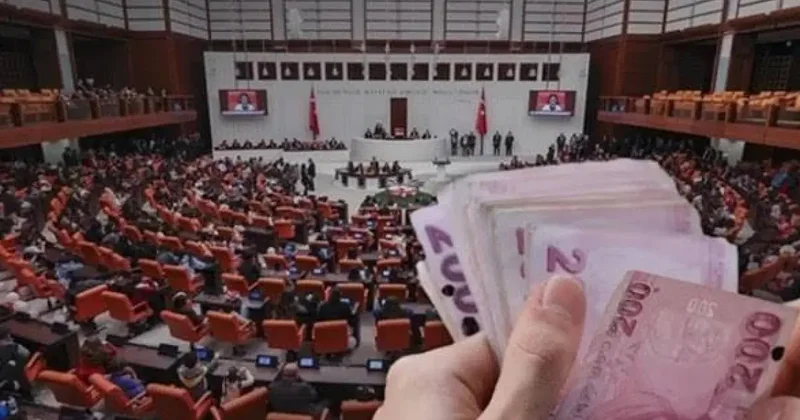 Fon düzenlemesinde küçük yatırımcıya öncelik! Kamu kaynakları kullanılmayacak