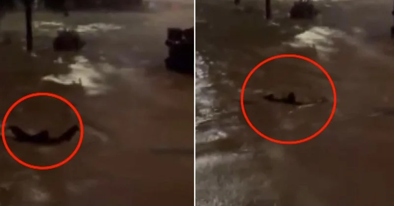 Sarıyer Ayazağa da akıntıya kapılmamak için yüzen kişi kurtarıldığı öğrenildi