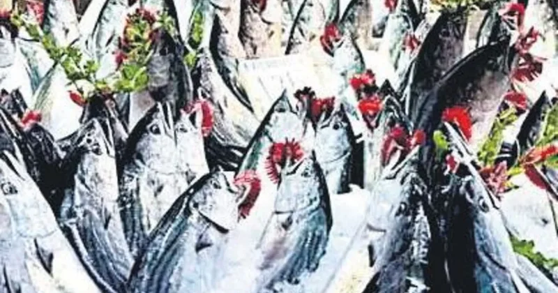 Balıkçıların ‘palamut çağrısı’ tepki çekti