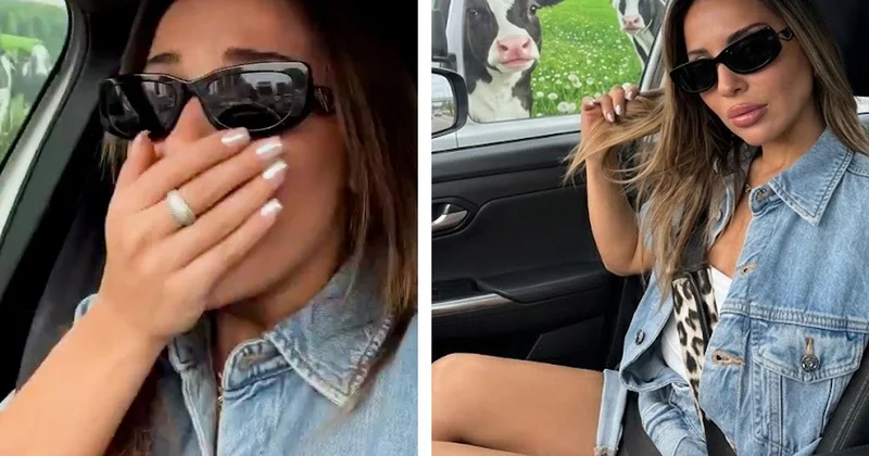 Trafikte gördüğü manzara kadın sürüye korku dolu anlar yaşattı