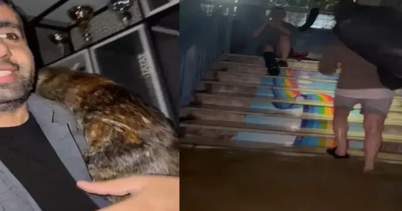 Arnavutköy’de su basan dairedeki kedileri muhtar kurtardı