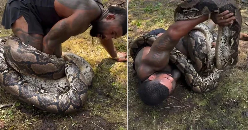 Tarzan 6 metrelik dev pitonla boğuştu: Gerçekten çok ucuz atlattım
