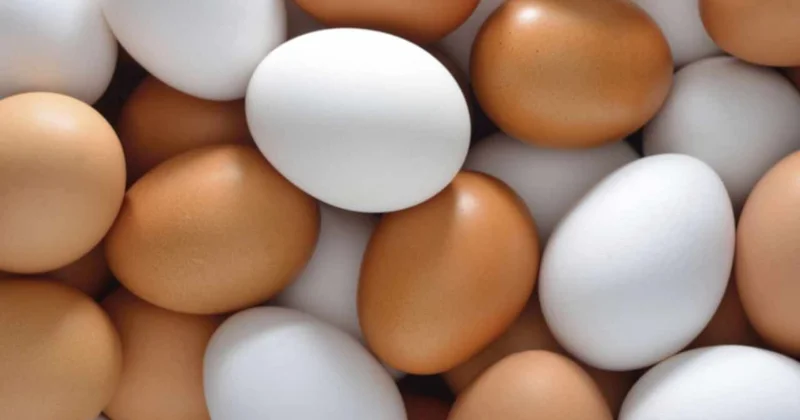 Yumurtayı en sağlıklı pişirme yöntemi Sözcü Gazetesi