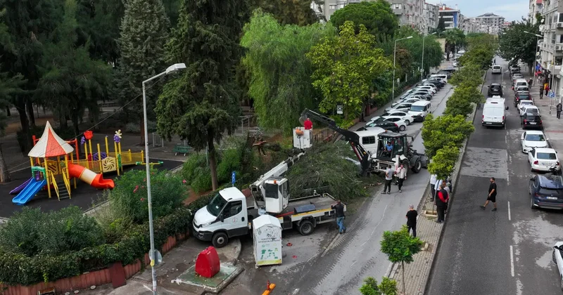 İzmir de korkutan anlar: 4 otomobilin üzerine ağaç düştü!