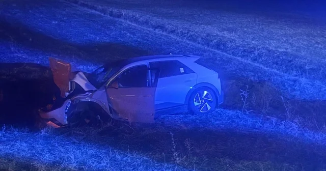 Muş ta otomobil yola çıkan ineğe çarptı Muş Haberleri