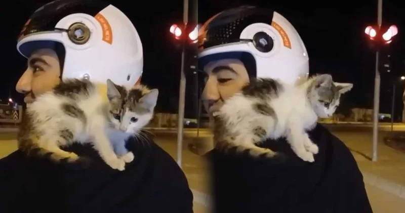 Osmaniye’de yürekleri ısıtan anlar! Yavru kediyi sahiplenip omzunda eve götürdü