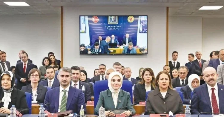 TBMM’de tek çocuk tartışması