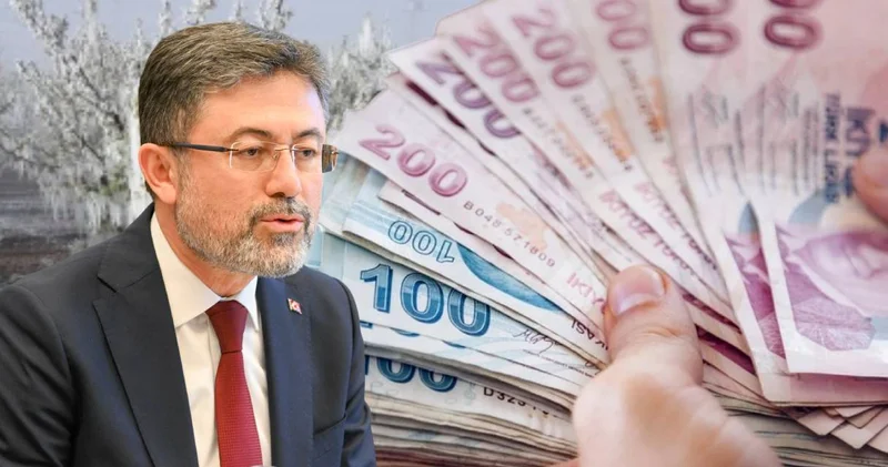 Zirai dondan etkilenmişlerdi: Sisteme kayıtlı çiftçilere yeni ödeme