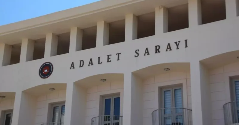 Köpekleri tüfekle vuran şahıs tutuklandı