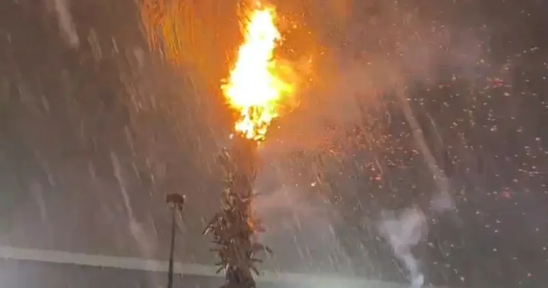 Adana’da düşen yıldırımlar yangına neden oldu