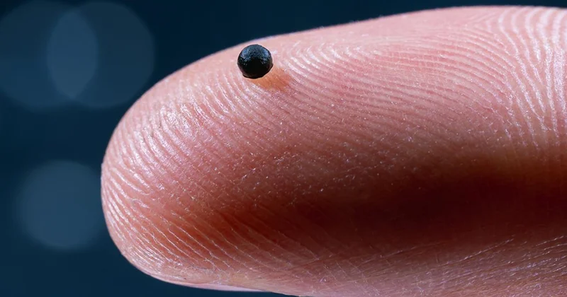 Uzmanlar, damarlarda ilerleyerek belirli dokulara ilaç ulaştırabilen mikro robotları test etti