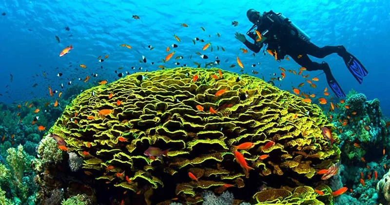 Denizdi, tuz çölüne döndü, sel baskınıyla yeniden deniz oldu! Sözcü Gazetesi