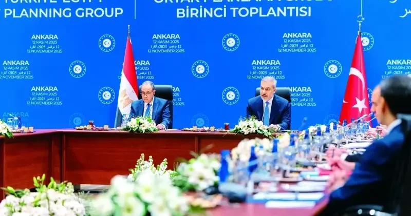 Bölgesel sorunlarda Mısır’la ortak tutum Gündem Haberleri