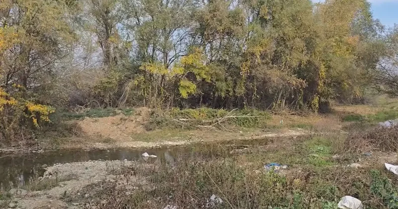 Gürcistan da Türk vatandaşı ormanlık alanda ölü bulundu