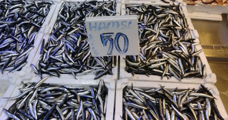 Kilosu 50 TL ye düştü! Bundan ucuzu yok : İşte istavrit, palamut, tirsi, mezgit, somon, levrek, çipura fiyatları Alışveriş Haberleri