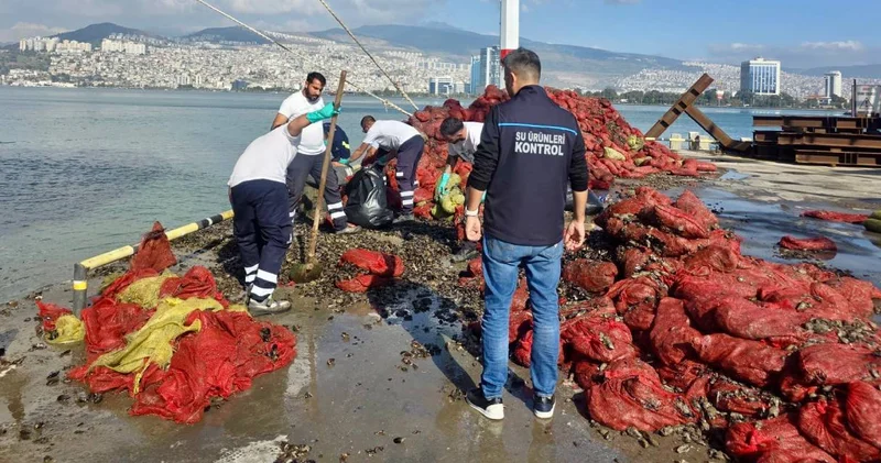 İzmir de onlarca ton kaçak midye yakalandı
