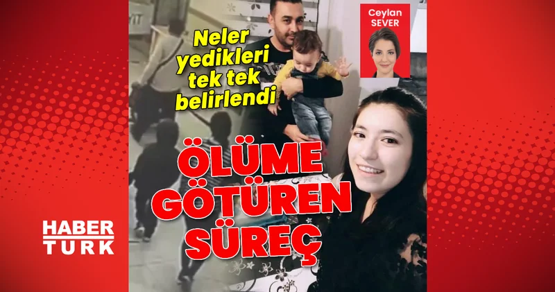 Almanya dan gelen aileyi ölüme götüren süreç: Neler yedikleri dakika dakika tespit edildi Son dakika haberleri