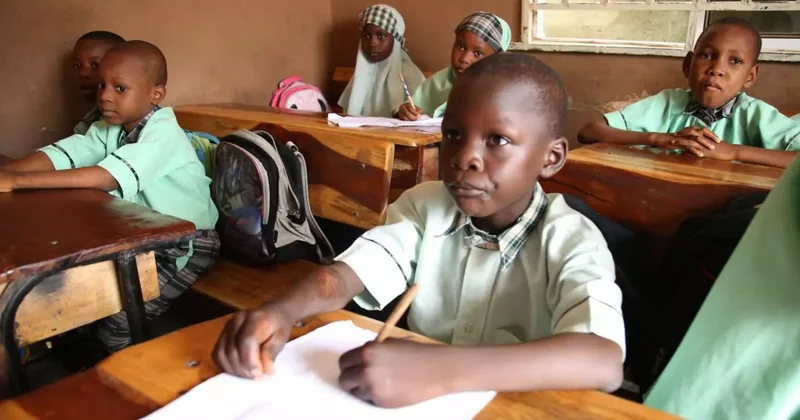 Nijerya ana dilde eğitimden vazgeçti! Okullarda İngilizce kararı