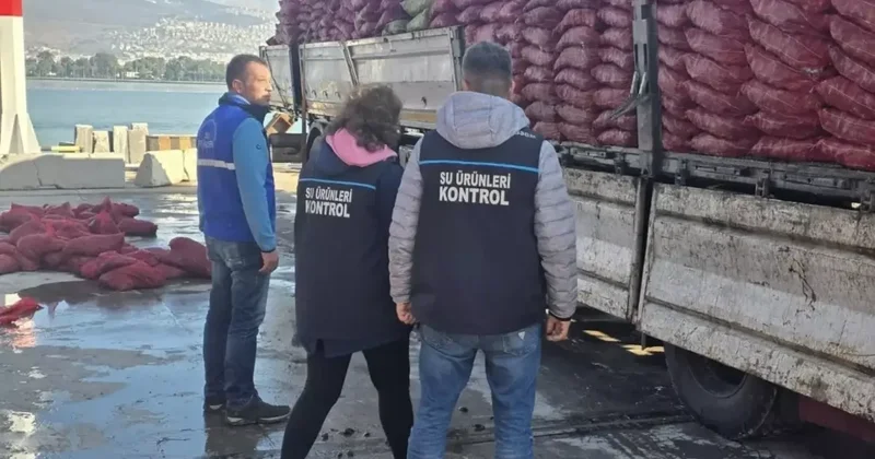 27 ton belgesiz kara midyesi ele geçirildi