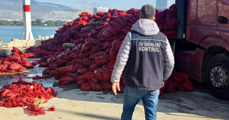 İzmir de kaçak avlanan 27 ton midye ele geçirildi