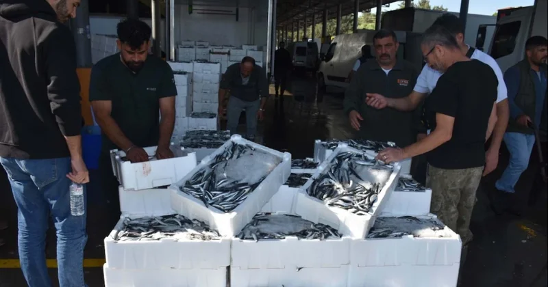 Kilosu 50 liraya kadar düştü: Haberi alan tezgaha koştu Sözcü Gazetesi