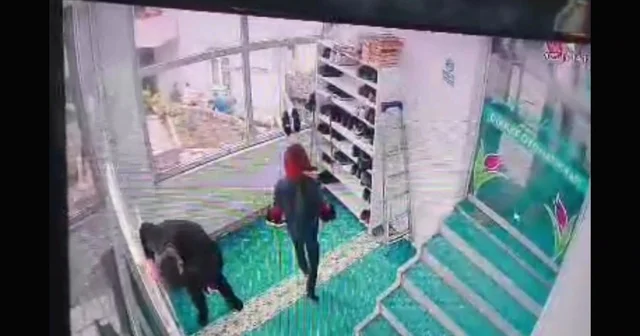 Cuma namazı için geldiği camide kalp krizi geçirdi: O anlar kamerada Ordu Haberleri