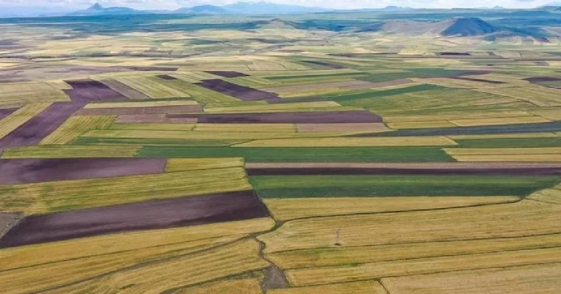 Arsa ve tarla fiyatları frene bastı: Son 1 yılda kazandırmayan iller sıralandı Sözcü Gazetesi