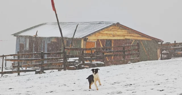 Ordu nun yüksekleri beyaza büründü Ordu Haberleri