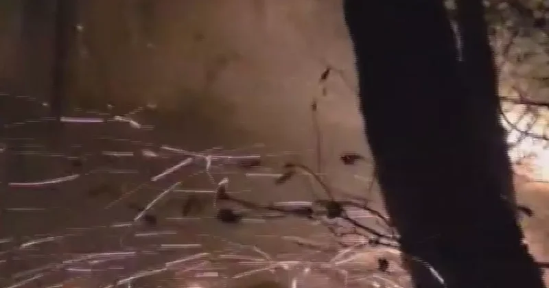 Hatay’da yıldırımın düştüğü ormanlık alandaki yangın 16’ncı saatte kontrol altına alındı