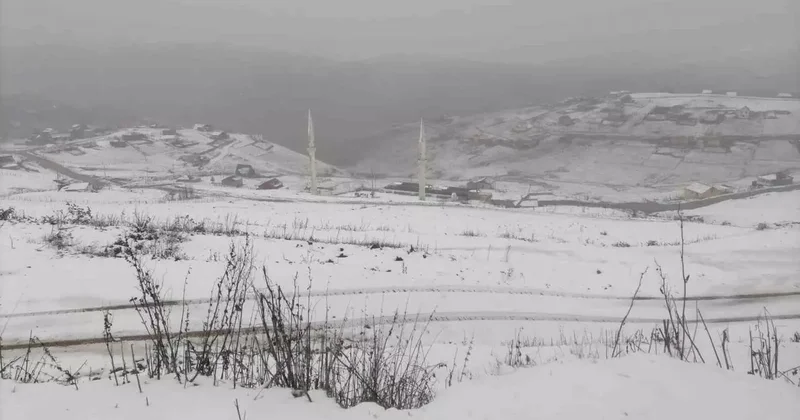 Gümüşhane’nin yüksek kesimleri beyaza büründü