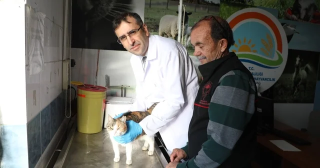 Uşak ta kedi ve köpek sahiplerine mikroçip uyarısı Uşak Haberleri