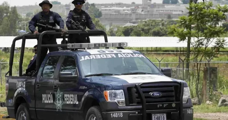 Kartellerin hibrit savaşı: Plata o plomo! Düşünce Günlüğü Haberleri