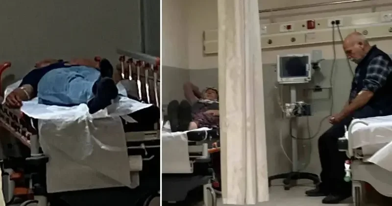 Orman mantarları tehlike saçtı: 7 kişi hastaneye kaldırıldı Bursa Haberleri