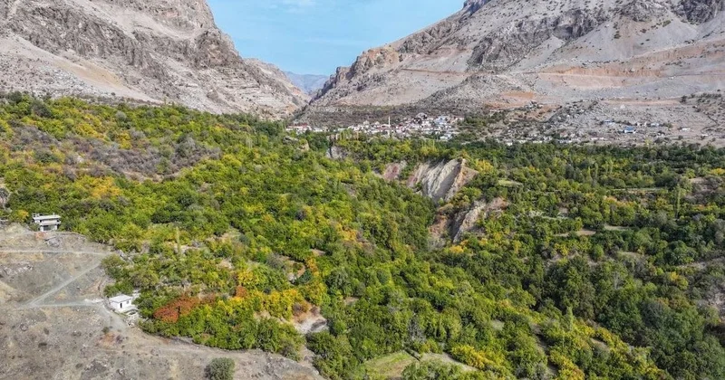 Ya tutarsa diye deneme amacıyla ekti ilk hasadı yaptı Sözcü Gazetesi